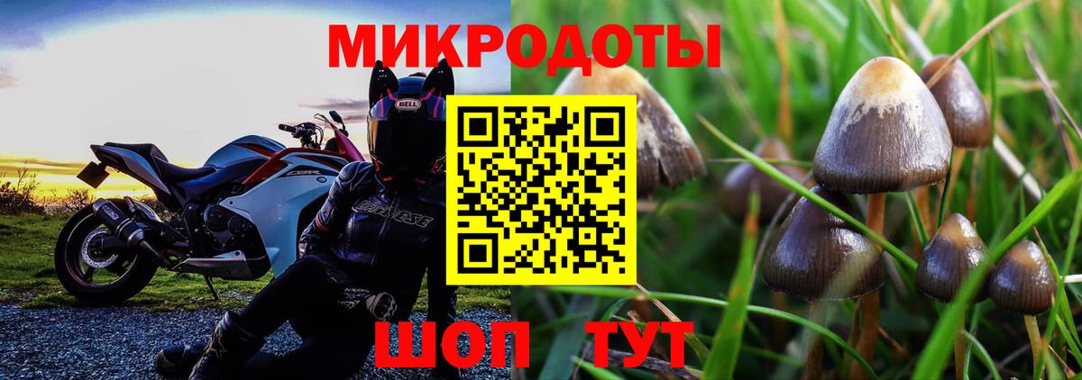 купить наркотик  Псилоцибиновые грибы ЛСД  Галлюциногенные грибы Cubensis  Вход с VPN  Астрахань 